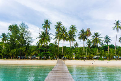 Palm trees by swimming pool against sky