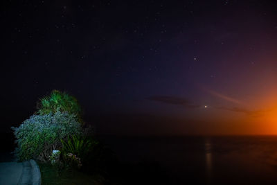 Scenic view of tree against sky at night