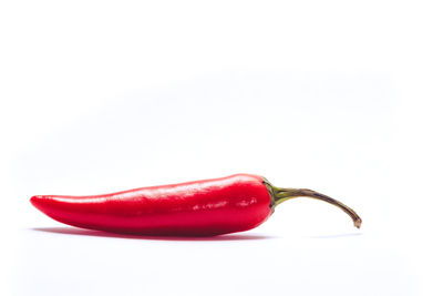 Close-up of red chili pepper against white background