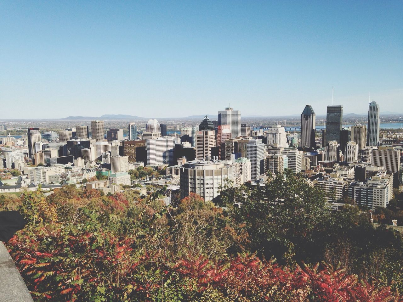 cityscape, city, building exterior, architecture, built structure, clear sky, skyscraper, copy space, crowded, high angle view, residential district, blue, tower, growth, urban skyline, modern, office building, tall - high, flower, sky