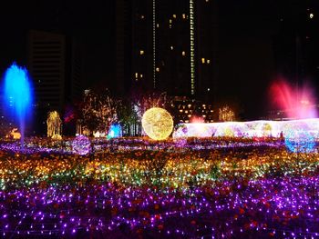 Illuminated trees at night