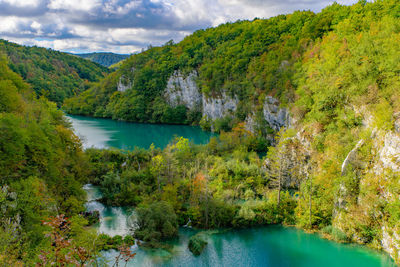 Scenic view of lake by trees against sky