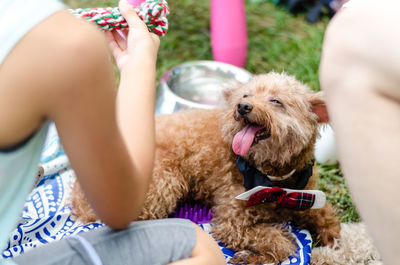 Low section of woman with dog sitting outdoors