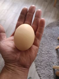 Close-up of hand holding lemon