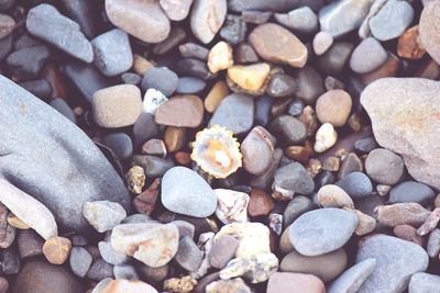 Full frame shot of pebbles