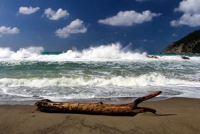 Sea waves rushing towards driftwood at beach