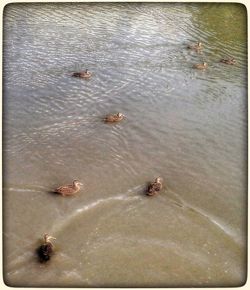 High angle view of water