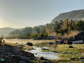 Desert oasis in the mountains of morocco