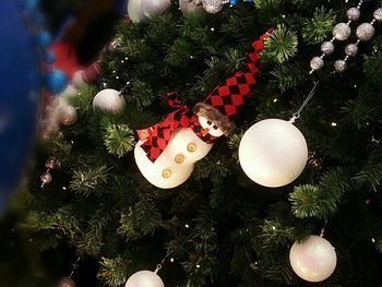 Christmas tree in background