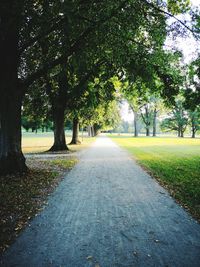 Road amidst trees in park