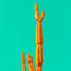 Orange cactus on blue. minimal art