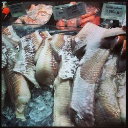 Close-up of fish for sale at market stall