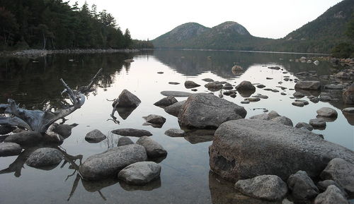 Scenic view of lake