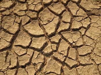 Full frame shot of cracked land