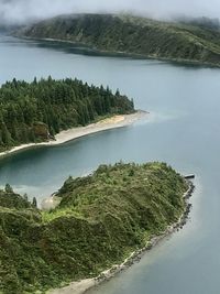 High angle view of lake amidst trees