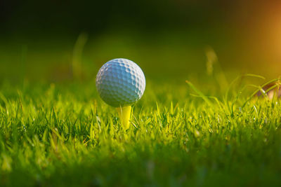 White golf ball on tee on green grass of golf course with copy space