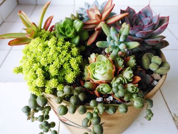 High angle view of chopped vegetables on table