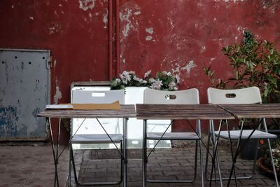 Potted plant on table