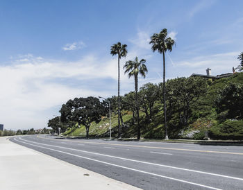 Palm trees by road against sky