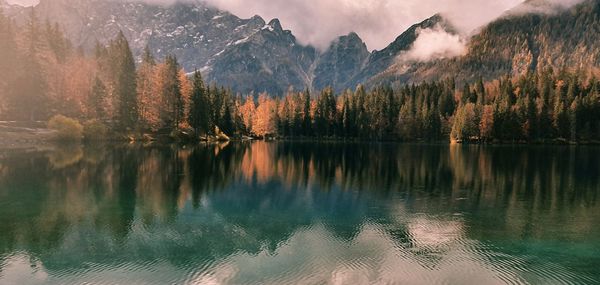 Scenic view of lake by trees against sky