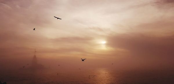 Low angle view of silhouette birds flying over sea against sky