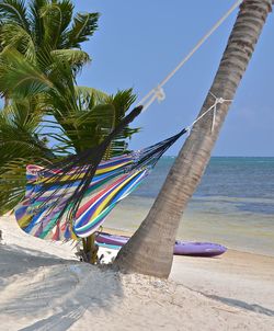 Low angle view of palm tree by sea against sky