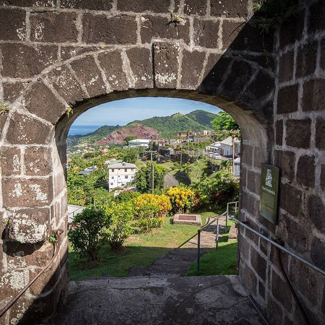 arch, architecture, built structure, archway, stone wall, building exterior, history, tree, arched, indoors, day, green color, grass, stone material, wall - building feature, entrance, the past, gate, plant, the way forward