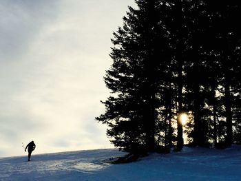 Silhouette trees on snow covered landscape against sky