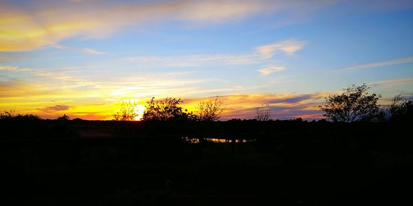 Silhouette trees on landscape against sky during sunset