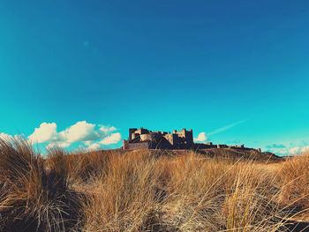 Abandoned building on field against blue sky