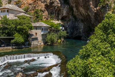 Scenic view of river amidst trees