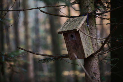 Close-up of birdhouse hanging on tree in forest