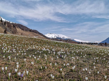 Scenic view of snowcapped mountains against sky