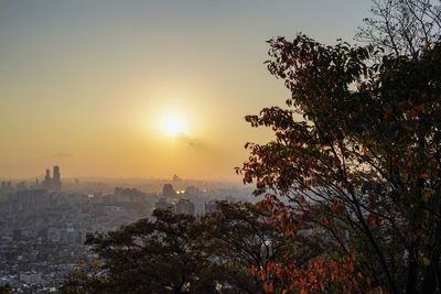 Trees and buildings against sky during sunset