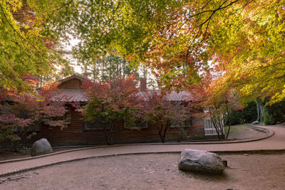 Trees in park during autumn