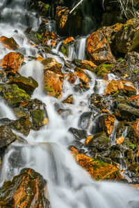 Seasonal runoff in the mineral fork area of big cottonwood canyon