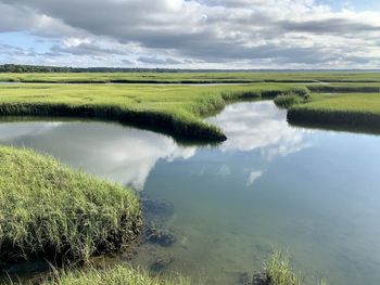 Scenic view of marsh against sky