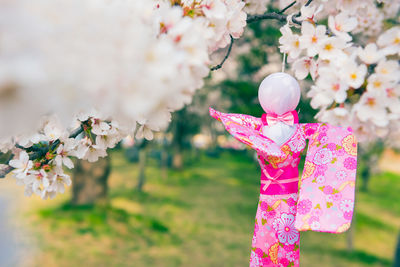 Close-up of pink cherry blossoms on field