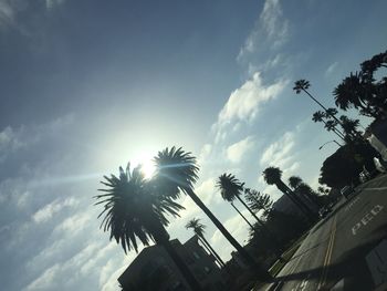 Low angle view of trees against sky