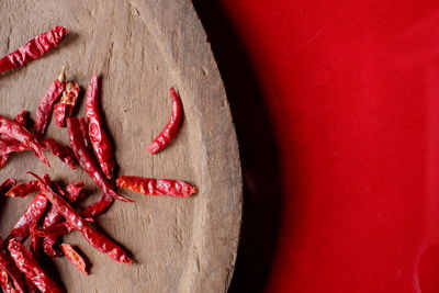 Close-up of red chili pepper against colored background