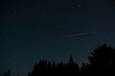 Night sky full of start with silhouette tree in the forest