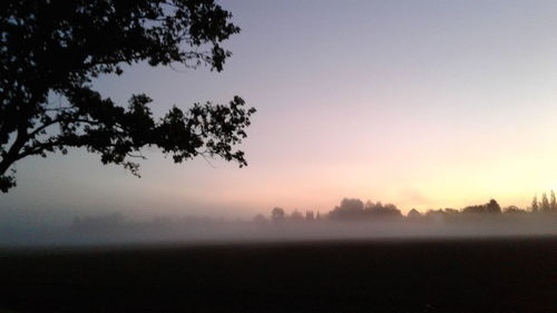 Silhouette trees on field against sky during sunset