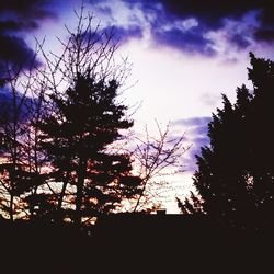 Low angle view of bare tree against cloudy sky