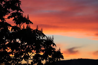 Low angle view of silhouette trees against dramatic sky