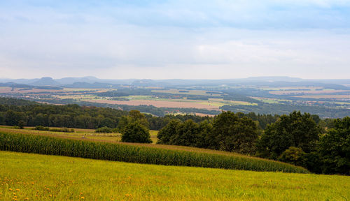 Scenic view of landscape against sky
