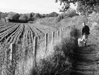 Man standing in farm against sky