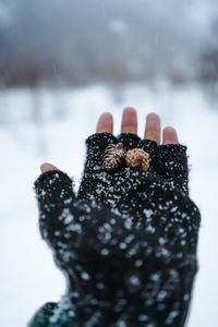 Close-up of person hand on snow