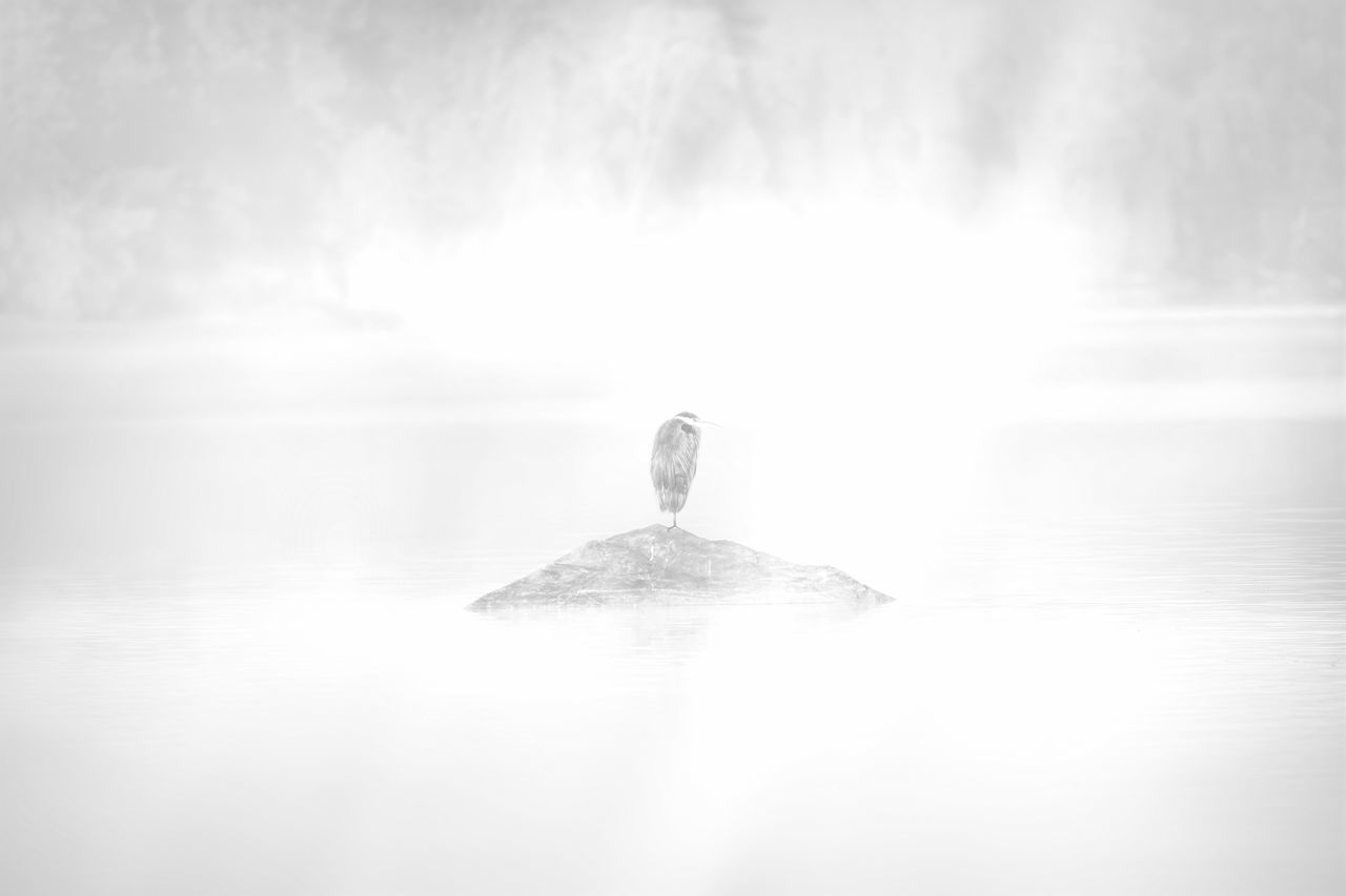 DIGITAL COMPOSITE IMAGE OF WATER AGAINST SKY