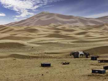 Departure point from merzouga town into the desert beyond. staging area for camels.