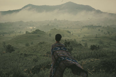 Rear view of man looking at landscape